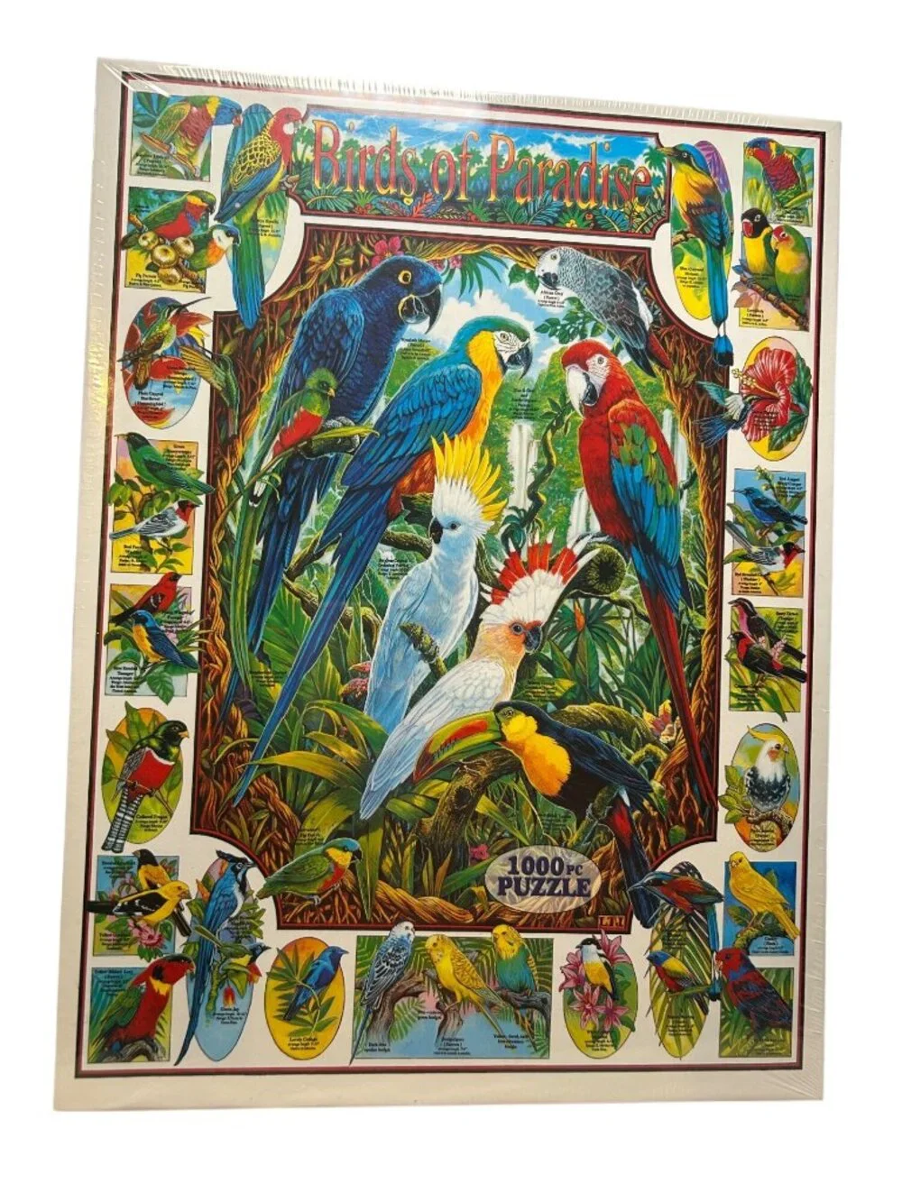NEW Birds Of Paradise 1000 Piece Puzzle White Mountain Puzzles Tropical Bird USA
